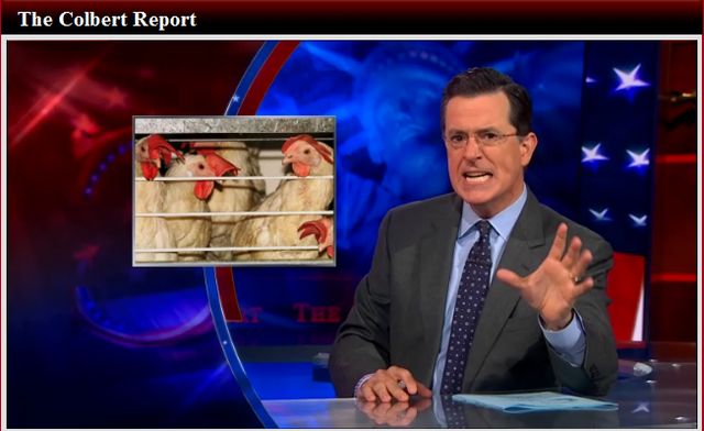 Stephen Colbert's Satire Of US Congressman