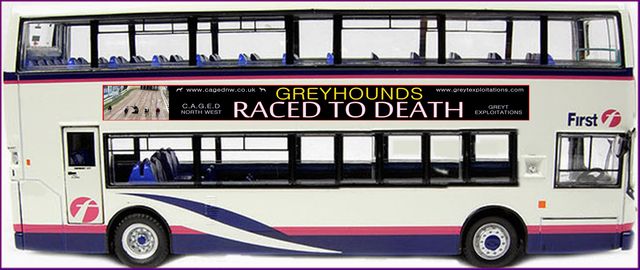 The CAGED NorthWest Raced to Death Bus campaign